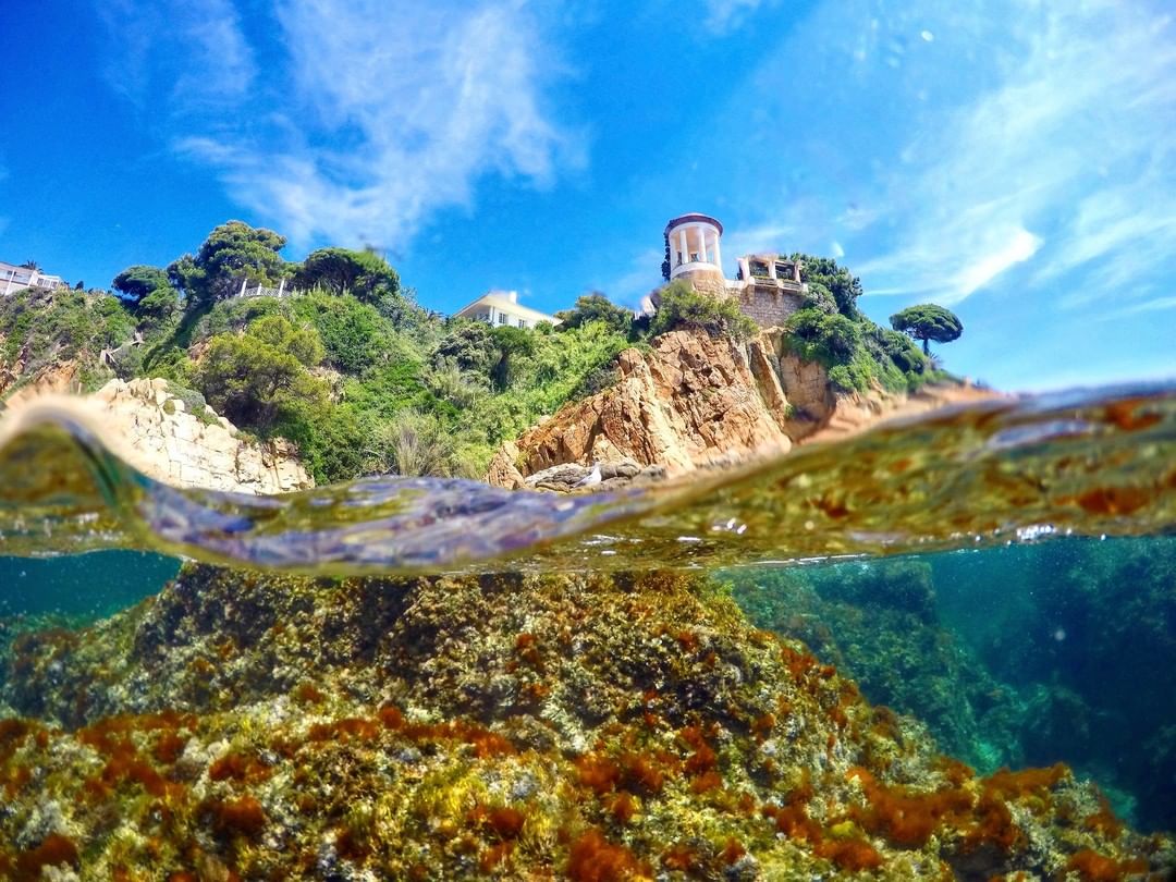 Aucune description de photo disponible.