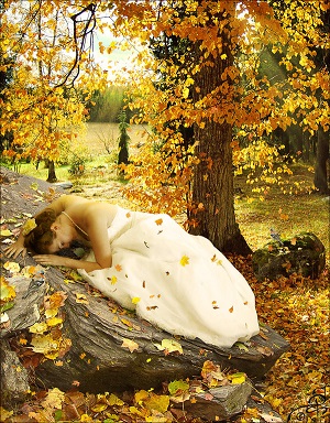 Automne précoce ...