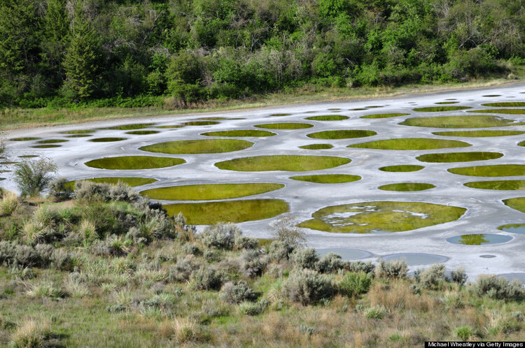 o-SPOTTED-LAKE-BC-900