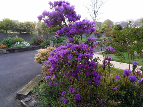 le parc floral 