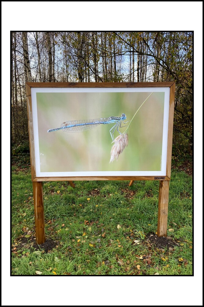 Site de la Pierrache - Bellefontaine - Vosges