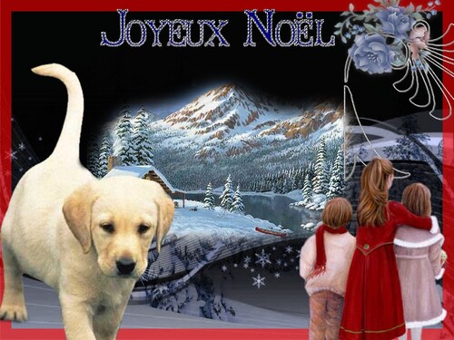 mes creations noel