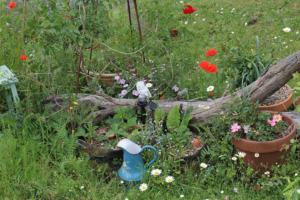 Quand j'ouvre la porte...