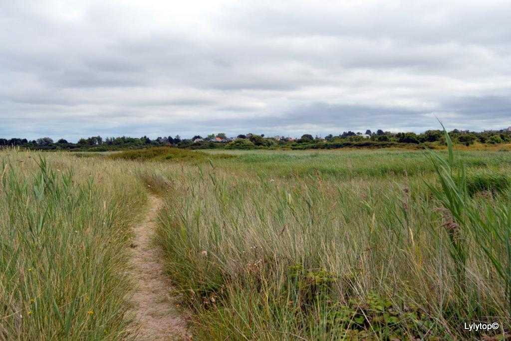 La plage du Vicq