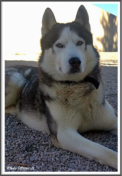 Ilouky (3,5 ans)
