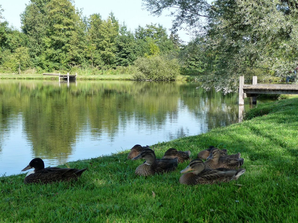 Bain de nature, on y retourne ...