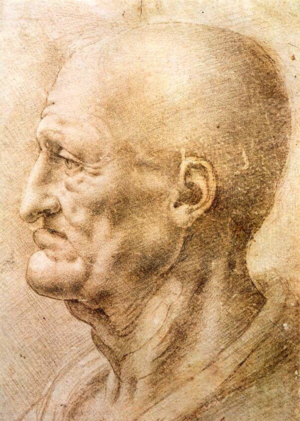 3.léonard de Vinci / carnet de dessins III