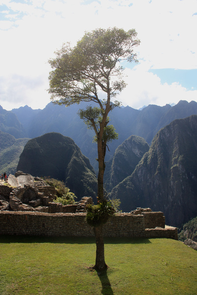 Machu Picchu