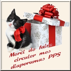 Mes diaporamas : **126- Renseignements SVP**