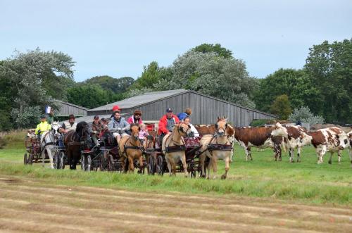 15 Juillet - Témoignage - La seconde 1/2 étape - Quiberville => Veules