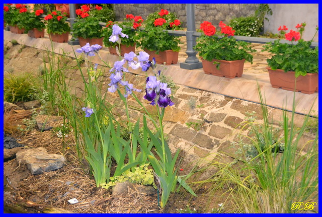 Les Floralies Internationales de Nantes.