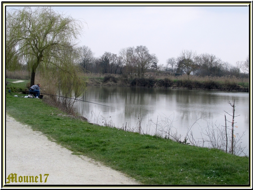 Le lac et le port de Saujon(17) 