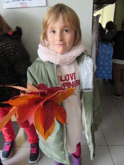GS: bouquets de feuilles d'automne dans la cour de l'école