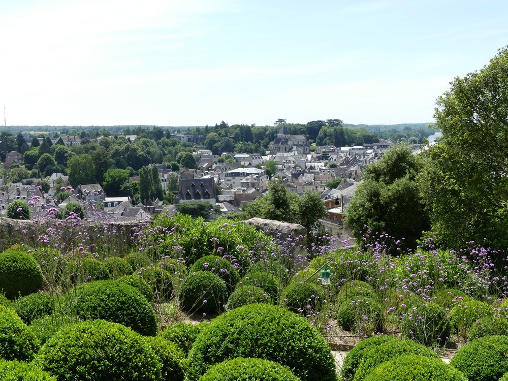 Le Château Royal d'Amboise : les jardins...