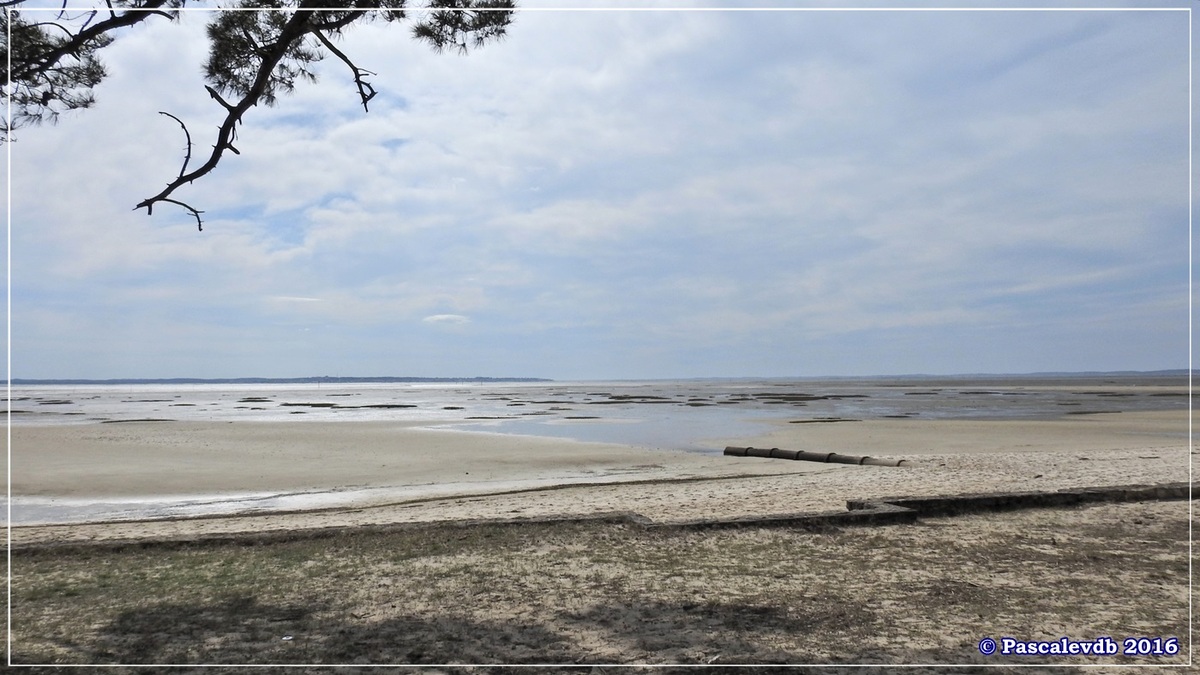 En longeant la plage entre Lanton et Cassy - fin Mars 2016 - 3/8