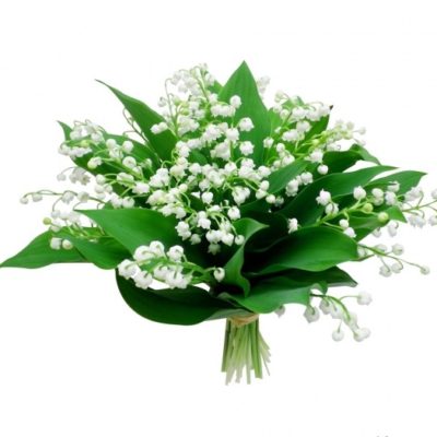 Bouquet muguet et roses blanches - Fleurs de Saison