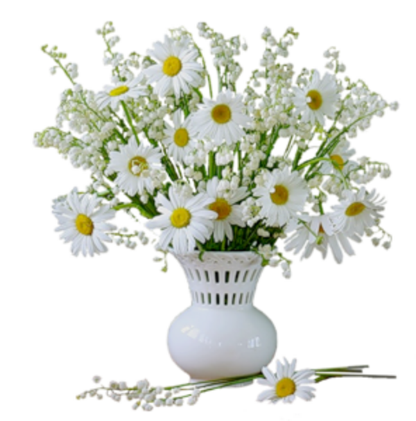 Fleurs dans vase 1