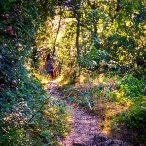 Amélie les Bains - Tourisme › À faire, à voir › Nature & sport ›  Balades/Randonnées