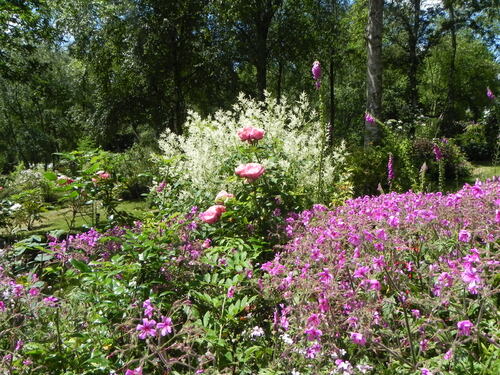 Le Jardin de Danyland 