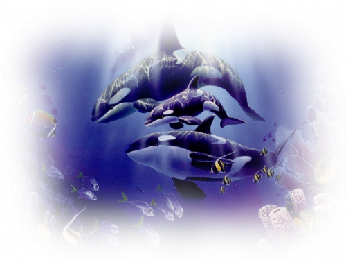 tube animaux marin