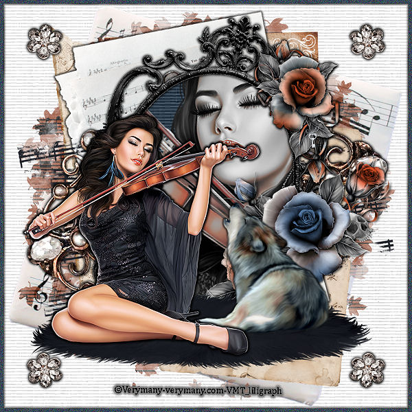 Violoniste
