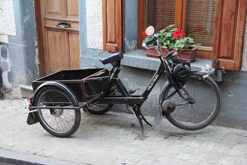 VeloSoleX