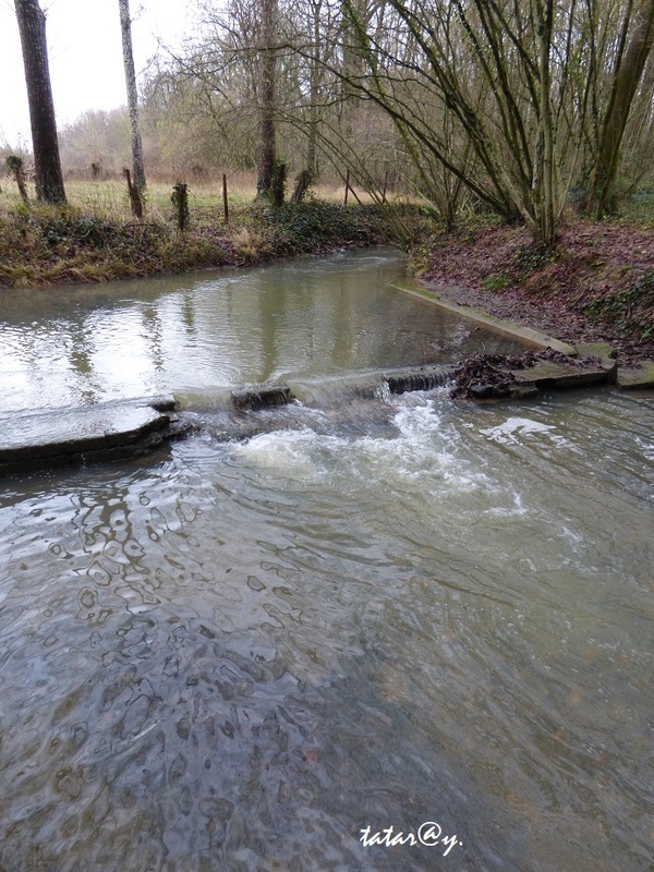 L'eau revient dans la rivière. 