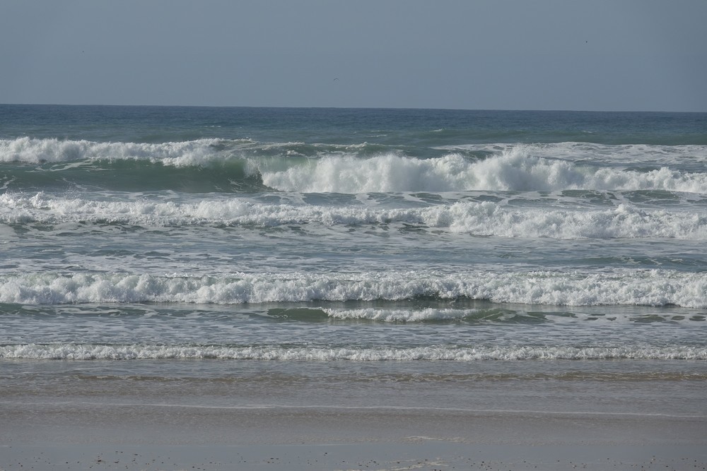 Balade au bord de l'Océan Atlantique - février 2019...