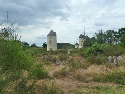 Westermann et les moulins de Mouilleron-en-Pareds....