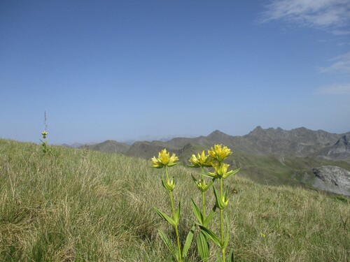 Bivouac (2 nuits) : lac de Houer + pic de Canaourouye (Ossau) - 64