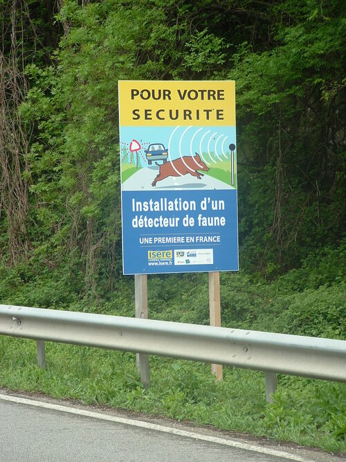 Isère : Une première en France, «  la protection de la FAUNE »  avec l'installation d'un détecteur d'animaux