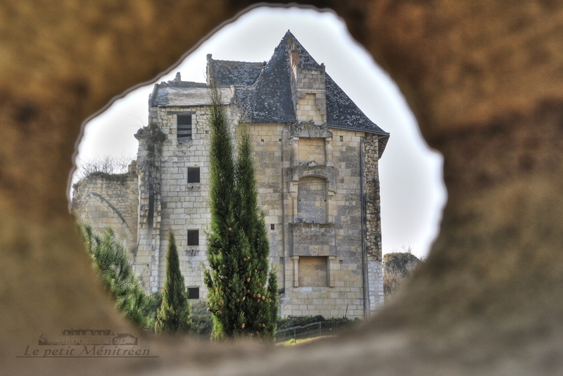Château de Crissy sur Manse (2)