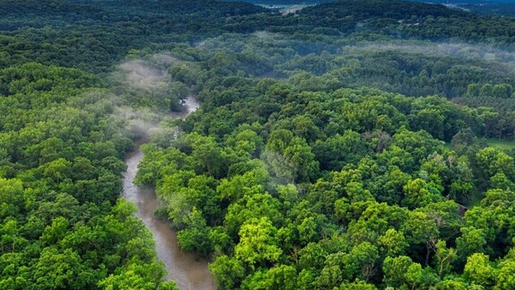 Le bassin du Congo est-il le deuxième poumon vert de la planète? | Slate.fr