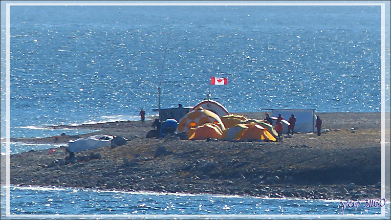 Campement international de scientifiques - Tremblay Sound - Terre de Baffin - Nunavut - Canada