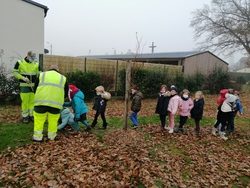 Plantation de bulbes avec la mairie