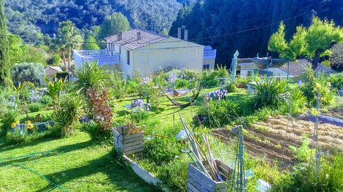 voilà après deux mois de travail acharné au jardin maintenant retour aux publications 