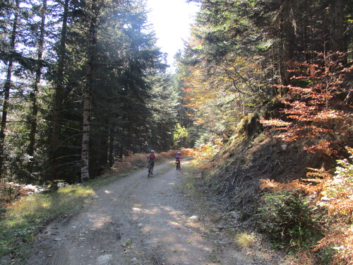 VTT : Bòrdes de Sauvaga (col du Portillon) - 31/Val d'Aran