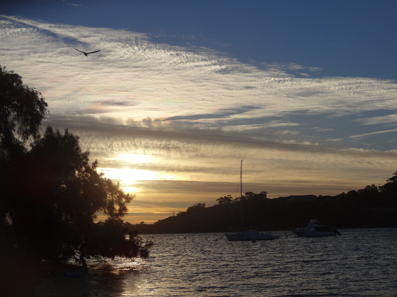 Coucher de soleil sur la swan river à Perth