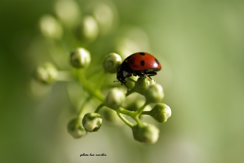 petite touche de printemps