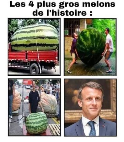 Melon macron