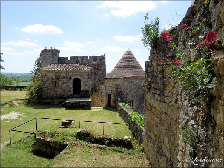 Photos de la basse cour - Château médiéval de Langoiran