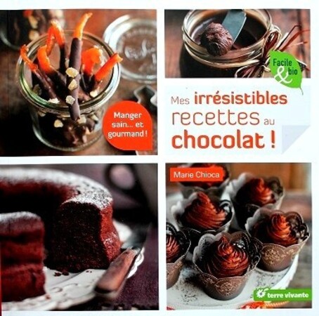 Mes-irresistible-recettes-au-chocolat-1.JPG