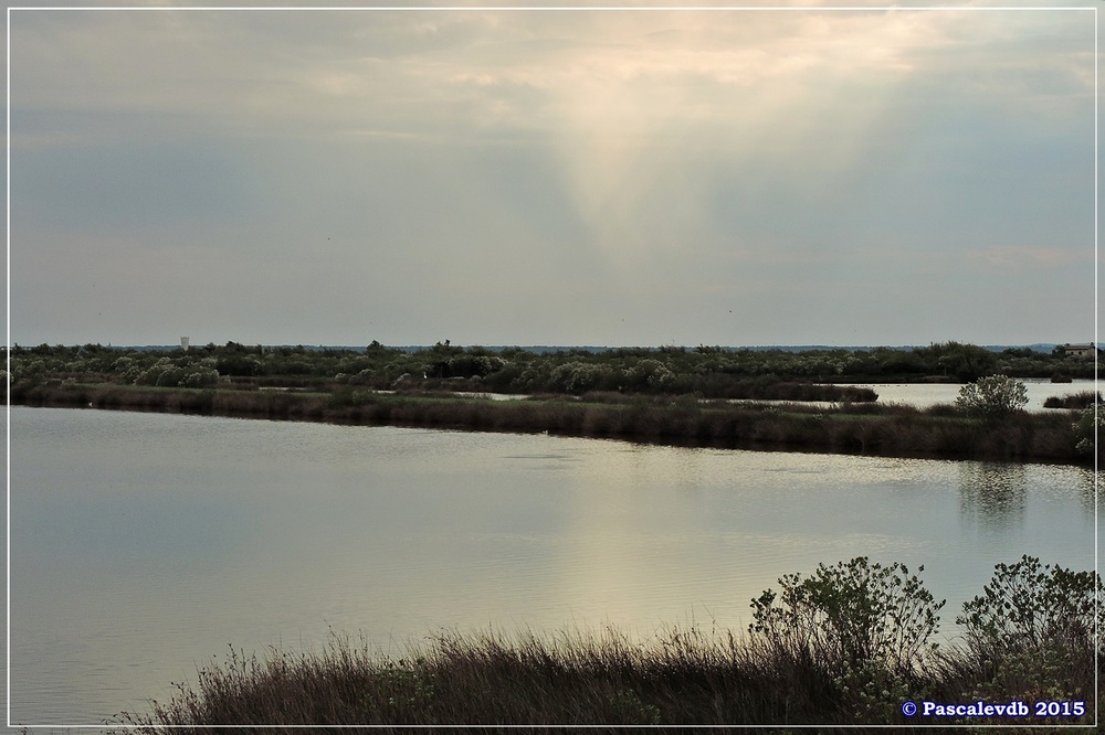 Tour du domaine de Certes - Octobre 2015 - 8/10