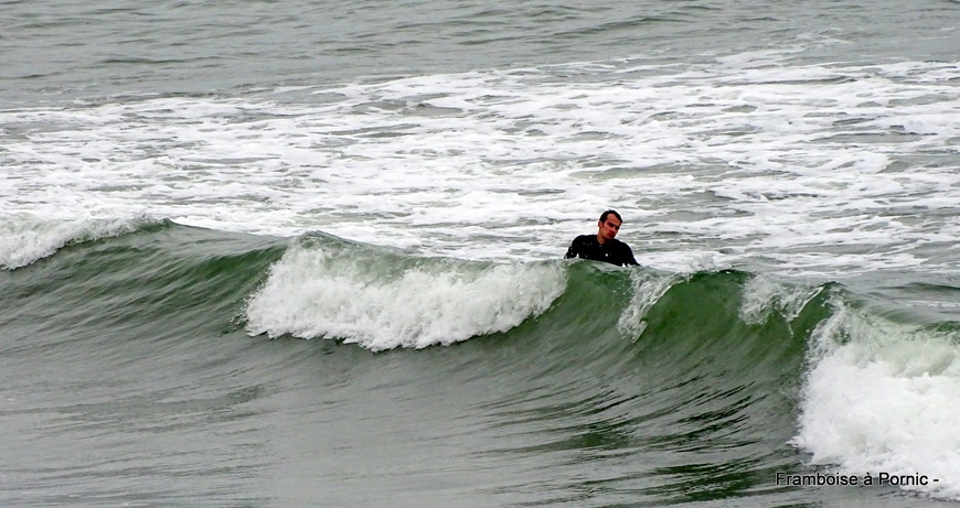 Les rois de la glisse 