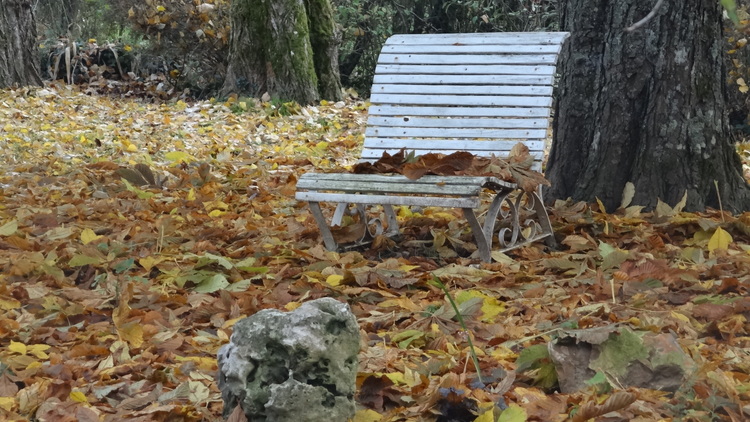 Les travaux de la Seconde Qunzaine de Novembre