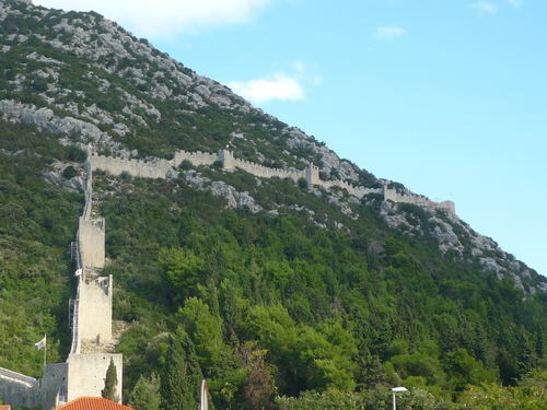 Tortue en Croatie