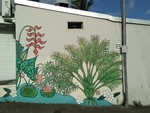 Les graffeurs à la Réunion