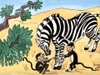 1-zebra