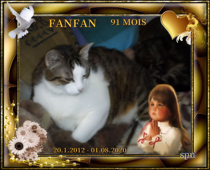 Hommage a Fanfan