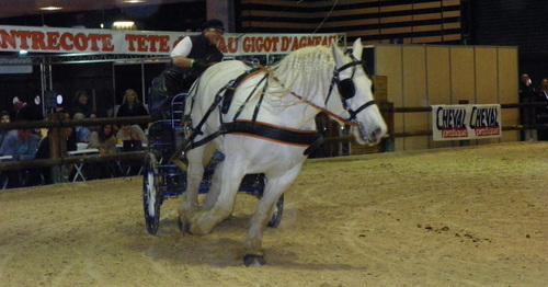 Equita' Lyon ( 3 )